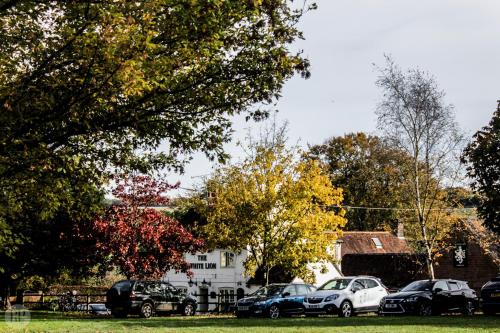 The White Lion, Soberton