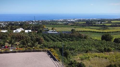 Gadiamb City