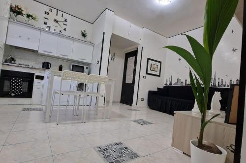 Brik's House, Roma