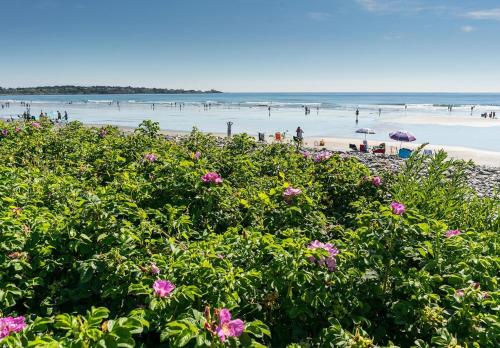 Owls Head Cottage at One Long Beach - image 10