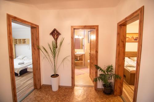 One Floor under High Tatras in Stary Smokovec