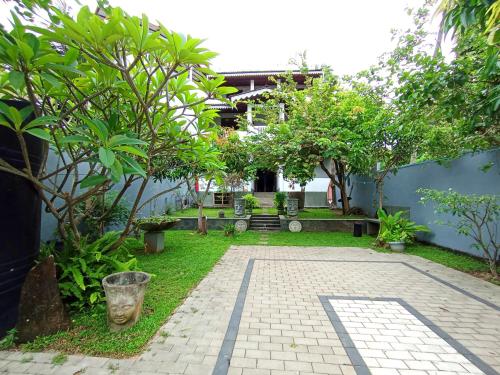 Lavender mirissa, Mirissa