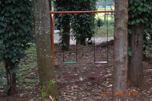 SS Tiny Home Stays SS Tiny Home Stays