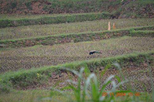 SS Tiny Home Stays SS Tiny Home Stays