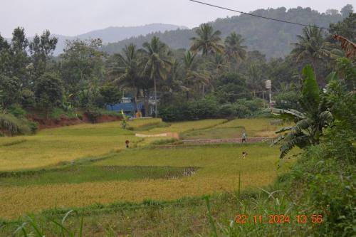 SS Tiny Home Stays SS Tiny Home Stays