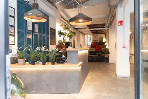 Előcsarnok, Koba Hostel in Szent Sebastian