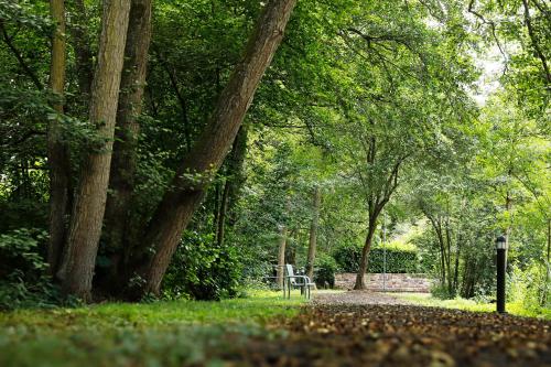 周邊環境, Ferienwohnung Sommerlinde in 山區博本海姆