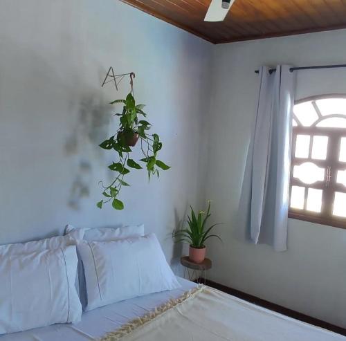 D'ulé Casa, Guarapari
