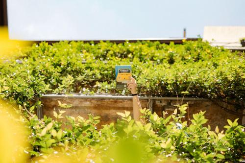 Tomato Backpackers Hotel - image 13