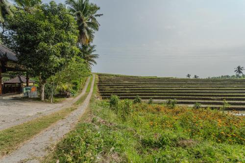 Pondok Hari Baik Room Type - Family Room with Garden View