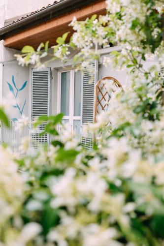 View, Tomato Backpackers Hotel in Turin