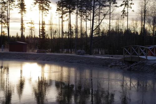 Kosta Lodge - image 4