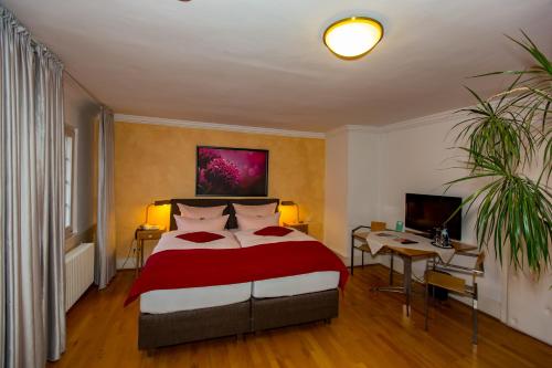 Hotel Goldener Falke - image 14