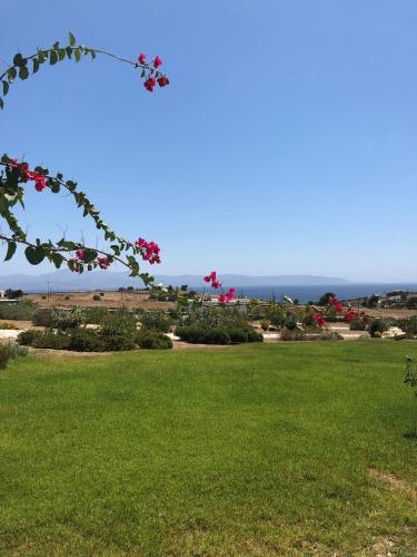 สวน, Eliza & Mike's Villas Paros in เกาะเพรอส