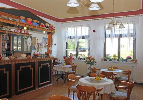 Pension Vogtländer - image 8
