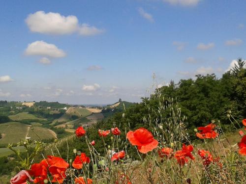 Cà D' Rot - Casa Ratti