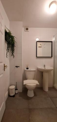 Temple Bar apartment by DublinExchangeSuites - image 6
