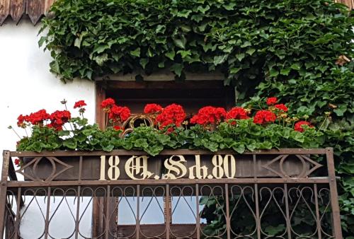 Ferienwohnung 1880 - Apartment - Burggen