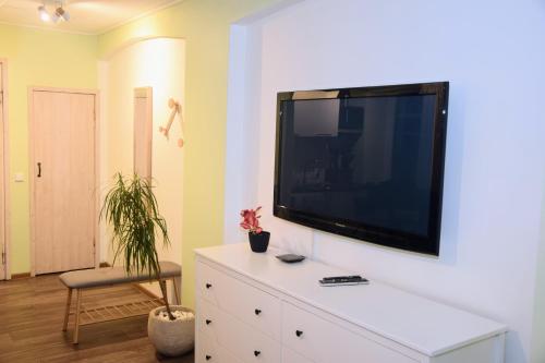 One-Bedroom Standard Apartment image 7
