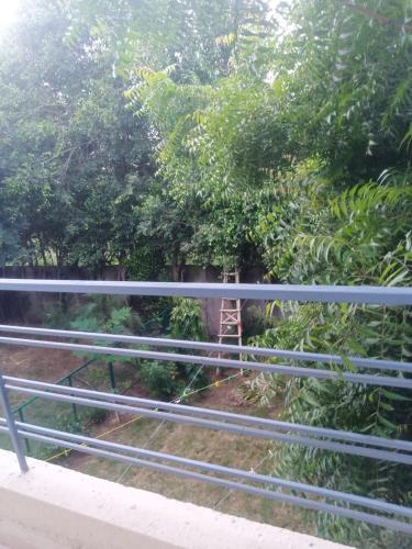 Villa with garden, Greater Noida (zdjęcie 7)
