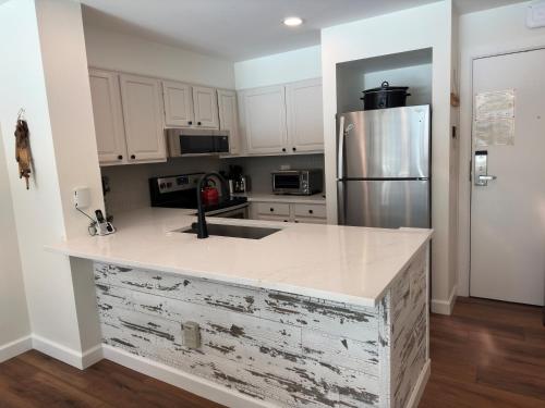 Beautiful Renovated 1BR Lakeside Condo condo - image 3