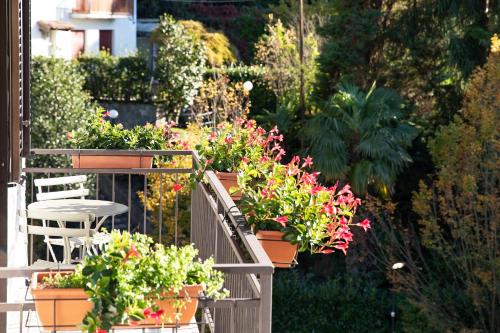 CHARMING MOMENT di Villa Porta - Residenza Ortensia - 발코니/테라스