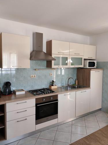 One-Bedroom Apartment image 8