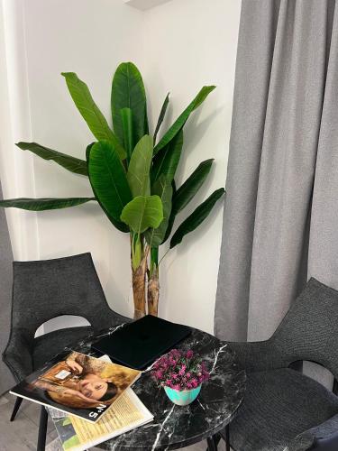 hotel le manoir in Gostivar