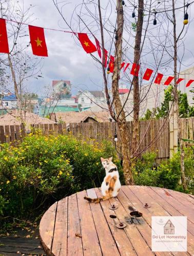 Da Lat Homestay nha vuon giua thanh pho 
