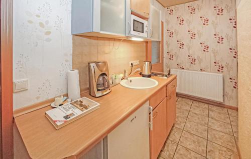 virtuve, 1 Bedroom Nice Apartment In Mühl Rosin (1 Bedroom Nice Apartment In Muhl Rosin) in Muhl Rosin