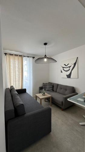 Appartement neuf, centre-ville, 400m de rivetoile 4 voyageurs, Strasburgo
