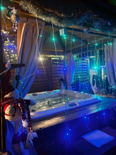 Les Chambres de Paulette à Theme LA JUNGLE ROOM