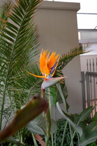 Bed & Breakfast Mediterranea Sea House