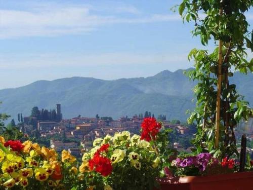  Il Trebbio, Pension in Barga