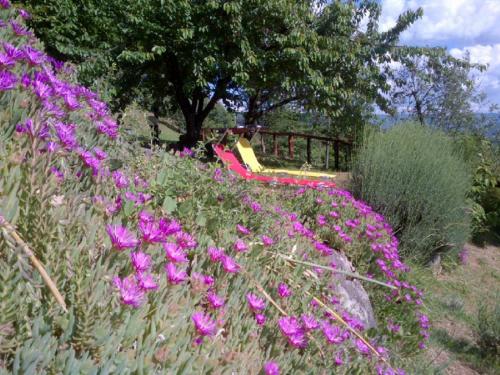 Il Trebbio, Barga (Foto 10)