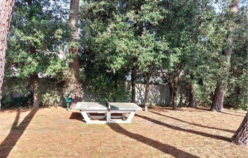 Gorgeous Apartment Gorgeous Apartment