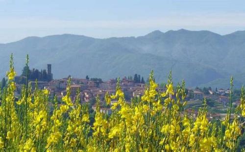 Il Trebbio, Barga (Foto 4)