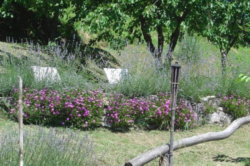 Il Trebbio, Barga (Foto 9)