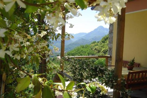 Il Trebbio, Barga (Foto 5)