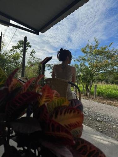 Refugio verde, interior 2 in Acacias