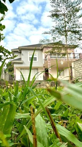 Unique Serviced Homes