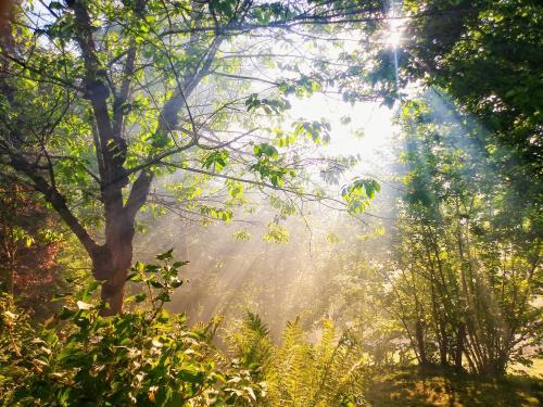 Casa en el Verde Valle in Sama De Grado