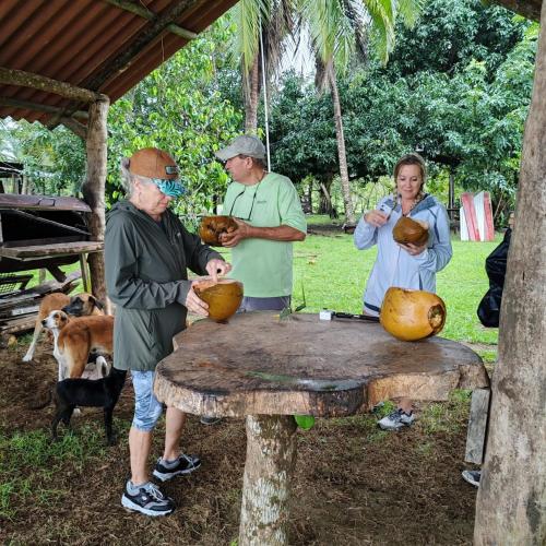 Mangrove boat tour lalo it is just a tour in Damas