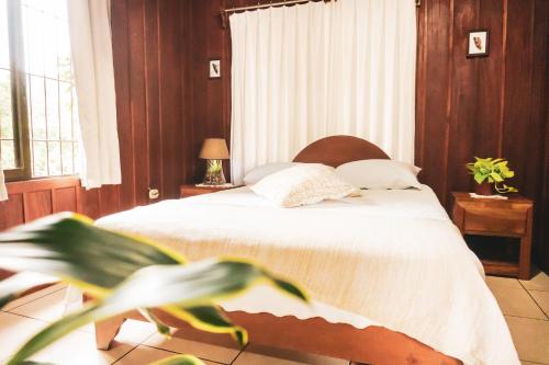 Cabinas Lupita in La Fortuna