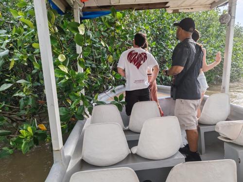 Mangrove boat tour lalo it is just a tour in Damas