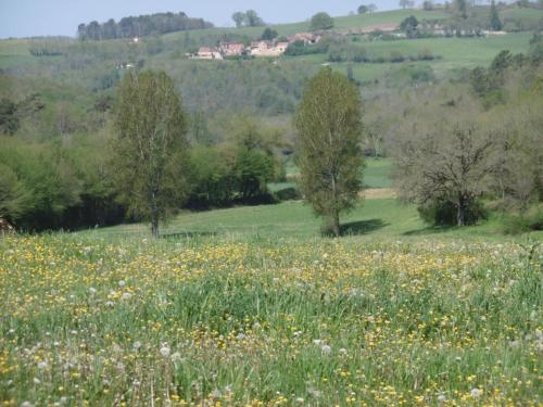 Maison rustique en pierres proche de Sarlat, jardin, 6 pers. - FR-1-616-394 in Marcillac-Saint-Quentin