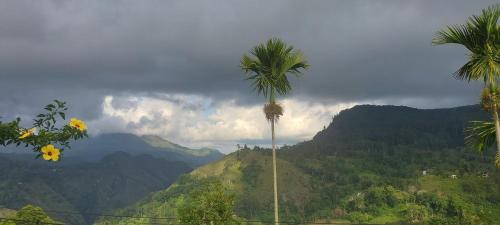 Double Room with Mountain View image 4