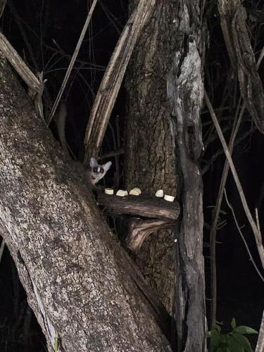 Kruger Amani Bush Retreat