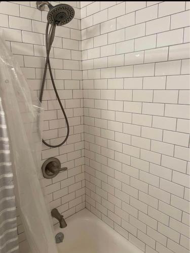 Townhome 4B in Chicago, USA