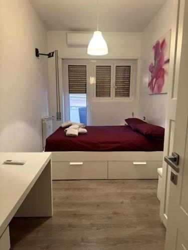 Casa vacanza Cozy Rest Roma, Rome (photo 3)